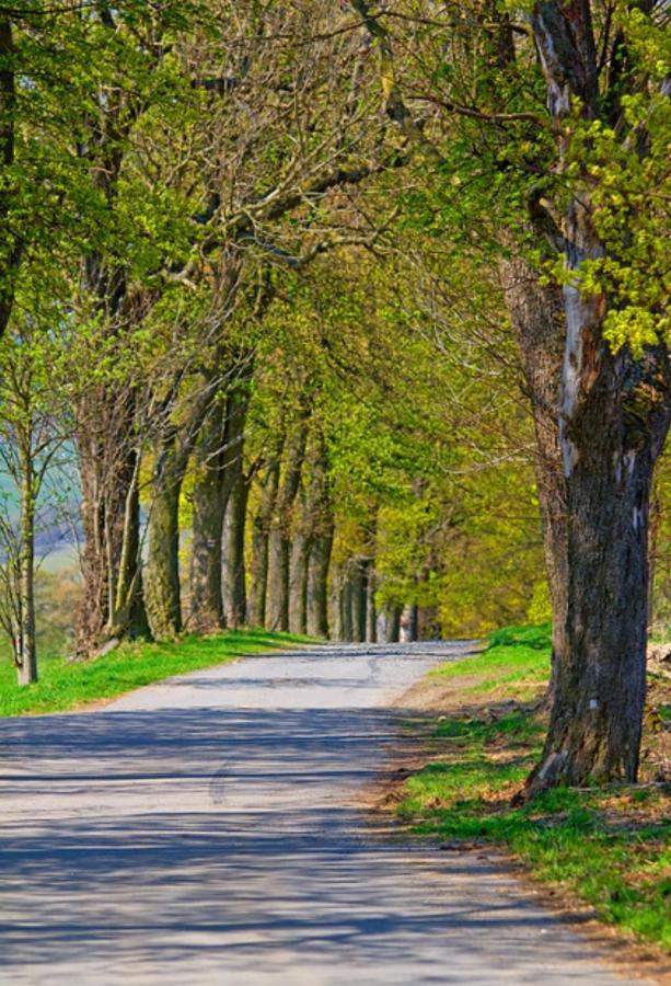 Ferienwohnung Rotbuche Tannenberg Екстер'єр фото