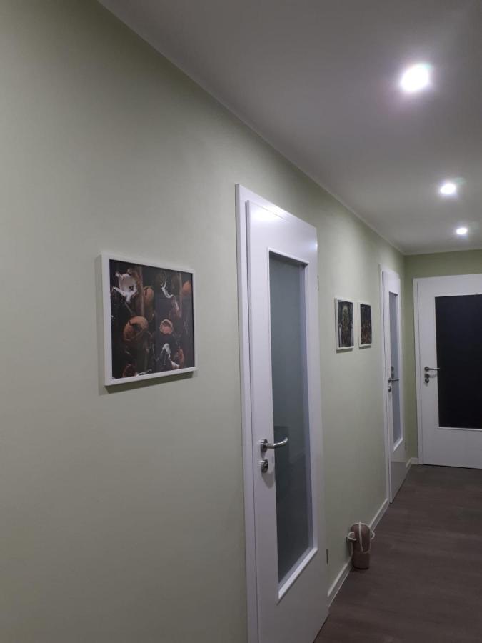 Ferienwohnung Rotbuche Tannenberg Екстер'єр фото